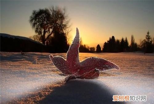 人生感悟心酸的句子有哪些句句深入人心