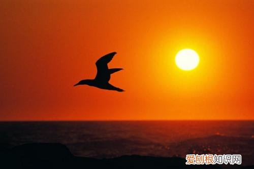 对男朋友说的暖心的话有哪些让男朋友感动到哭的话有哪些