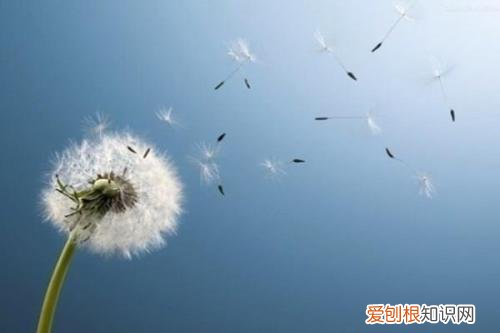 对男朋友说的暖心的话有哪些让男朋友感动到哭的话有哪些