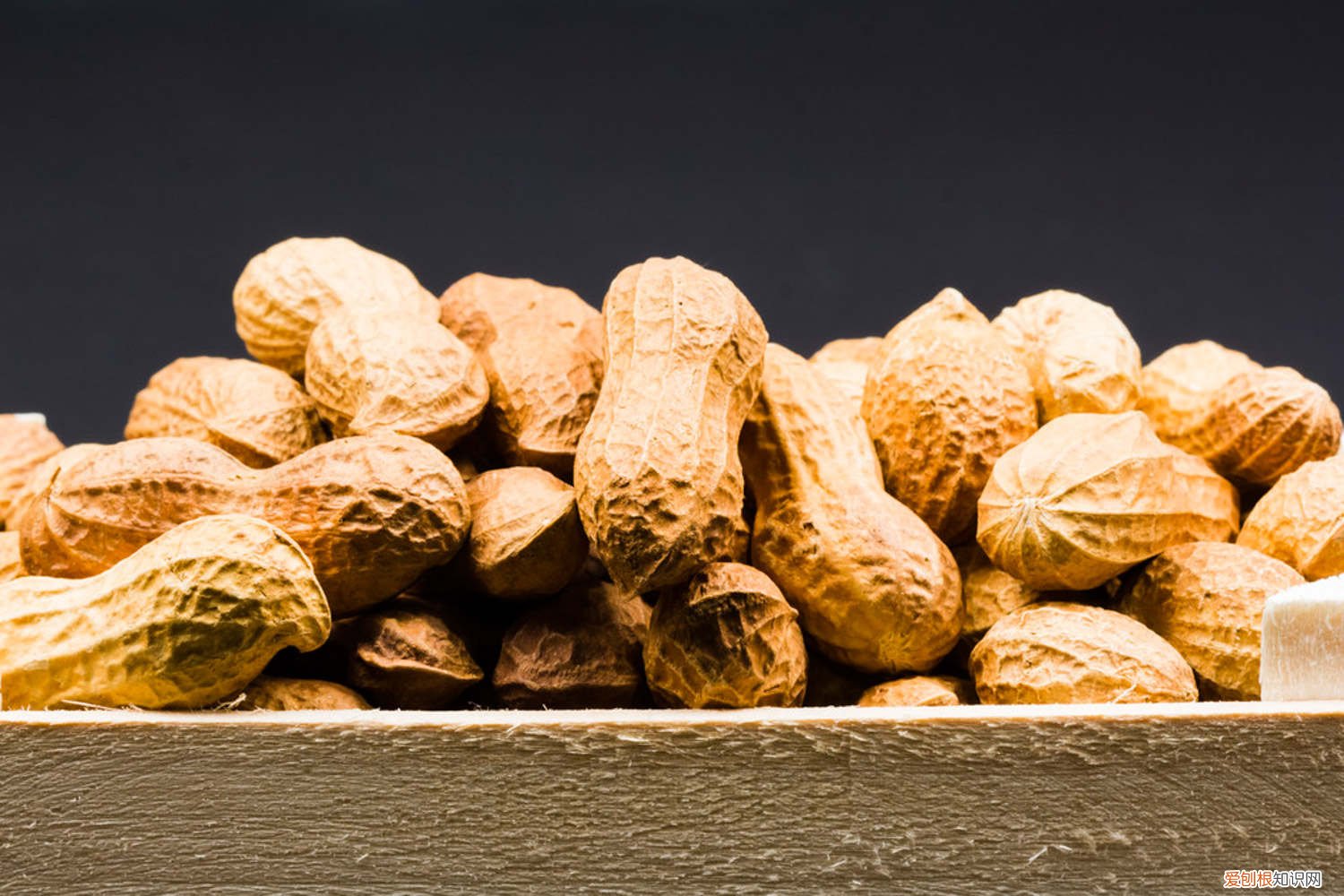 自己在家怎么种花生芽 1把花生随手扔水里，7天发芽，1月长成小盆栽，摆在哪里都好看！