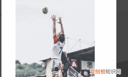 cdr怎么调亮度,cdr导出的图片颜色灰蒙蒙的怎么办