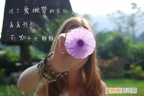 人生哲理感悟的句子 静下心来用心去感悟