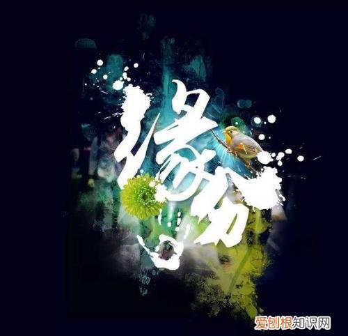 相识是缘分的经典语录 朋友相识是缘分句子