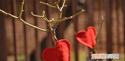 相遇却无缘在一起句子 感叹相遇太晚的遗憾句子