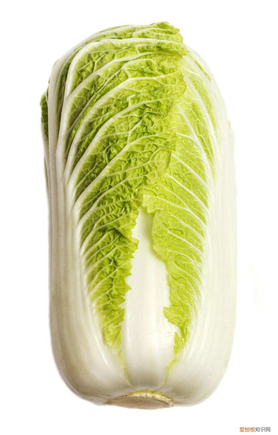 秋天的农作物有哪些呢 秋天的农作物有哪些