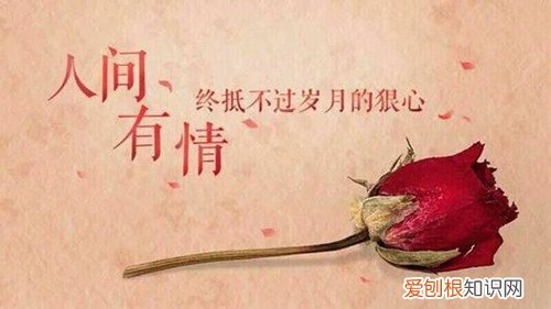 十年婚姻感悟伤心句子有哪些 结婚十年心酸感言