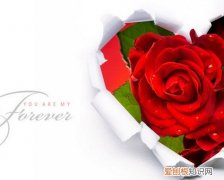 二十二周年青铜婚感言结婚22周年纪念感言