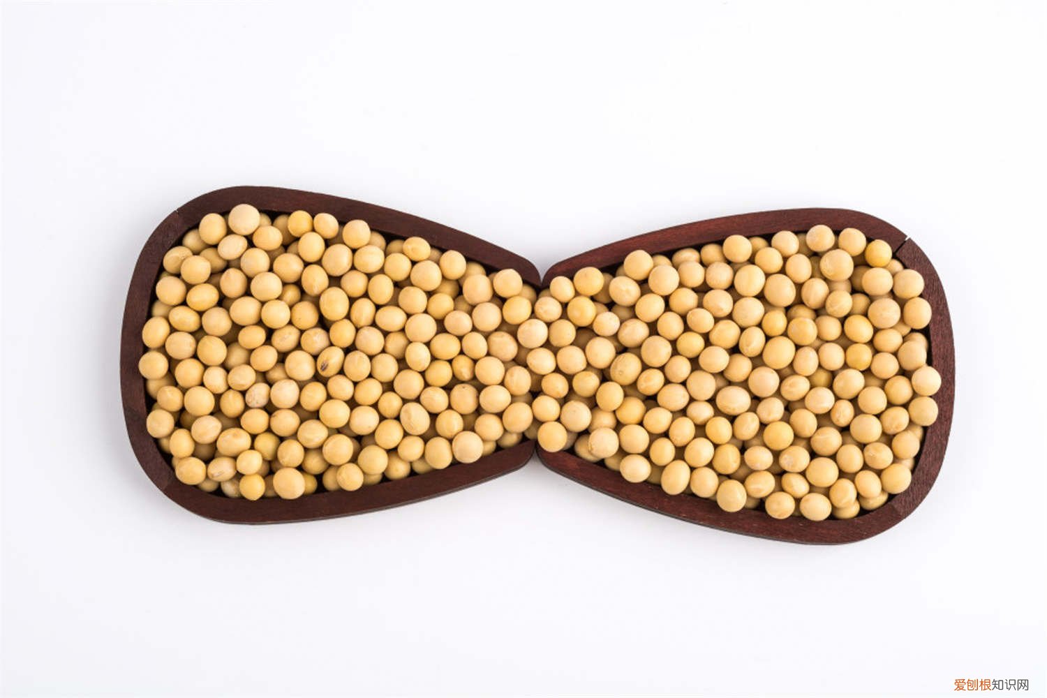 种豆子怕雨水吗 天天下雨怎么种豆