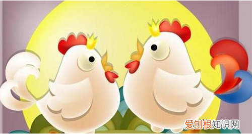 同年属鸡的结婚相克吗 为什么不能嫁属鸡男