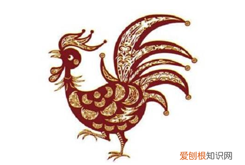 夫妻都属鸡婚姻能长久吗 鸡和鸡配对有哪些优缺点