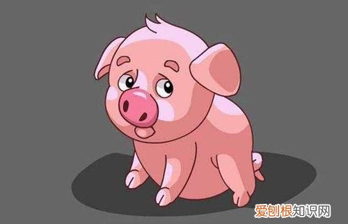 哪些相同属相不能结婚相合的同属相婚配有哪些