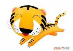 2021年属虎人全年运势男性 属虎2021年幸运色