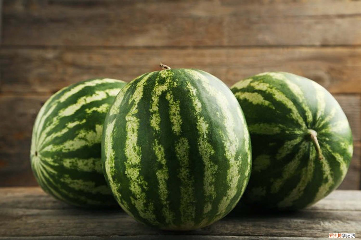 西瓜什么时候栽种合适 西瓜什么时候种植最好，怎么种植