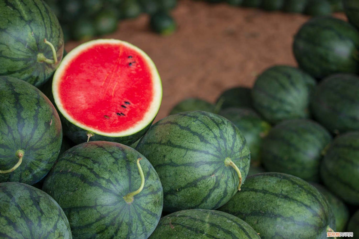 西瓜什么时候栽种合适 西瓜什么时候种植最好，怎么种植