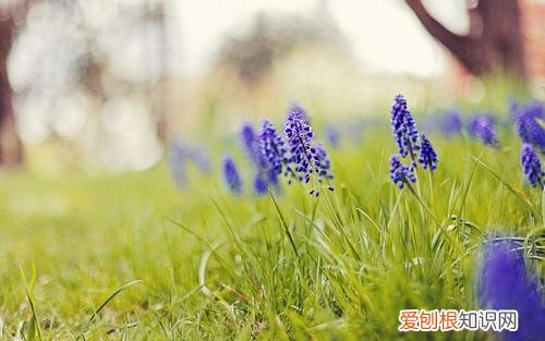 结婚后的女人感慨语录有哪些女人感慨生活的句子有哪些