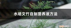 水培文竹需要营养液吗 水培文竹自制营养液方法