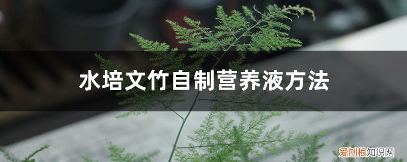 水培文竹需要营养液吗 水培文竹自制营养液方法