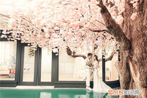 2020年适合结婚唱的歌 结婚当天需要注意什么