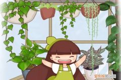 这花长了5米长，被他一夜剃光头，半年又长两层楼！