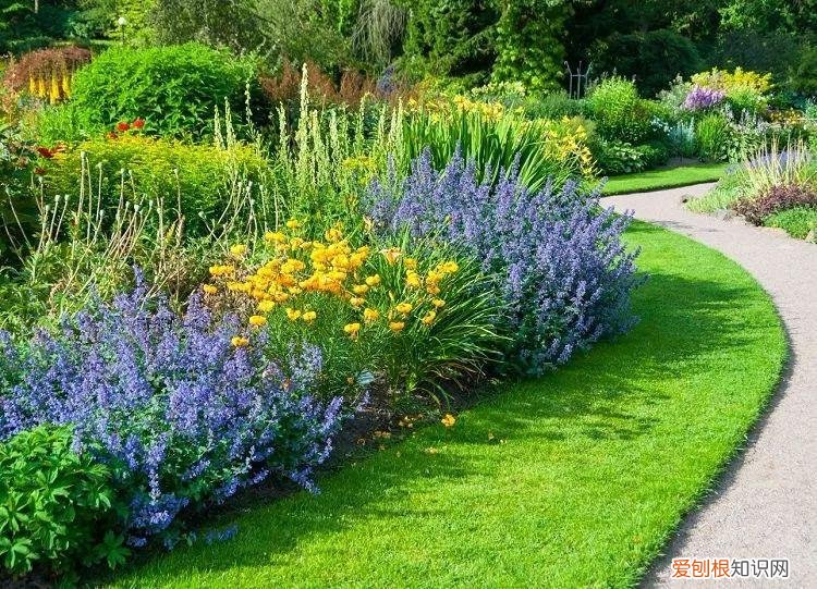 花卉在园林中的应用方式有，保持植物健康的5种高效方法，促进家里的花卉孕育花朵