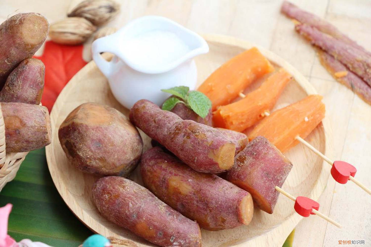 地瓜能种室内能土栽 种植“地瓜”新方法！吊在半空养，地瓜自己就能长！