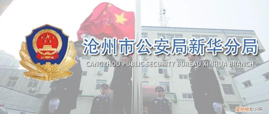 ?重要提醒!养犬免疫登记可网上提交信息!