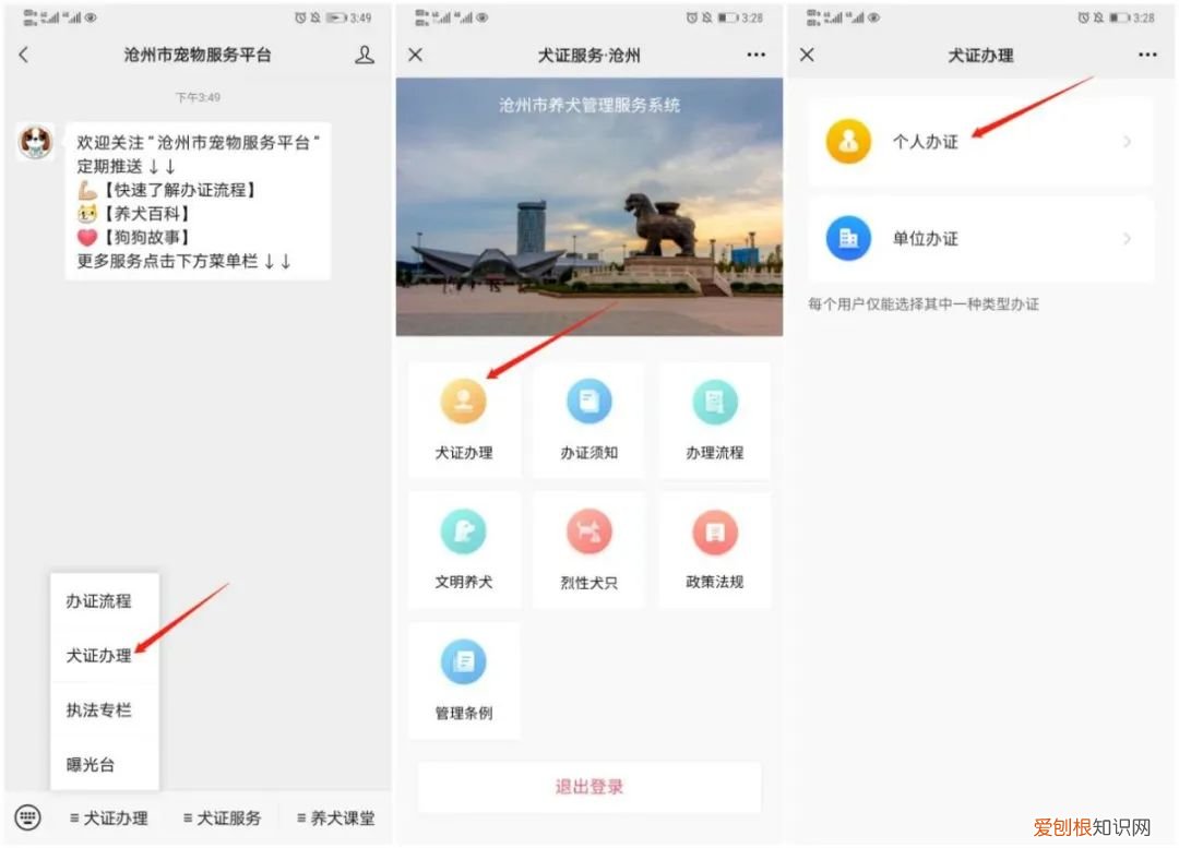 ?重要提醒!养犬免疫登记可网上提交信息!