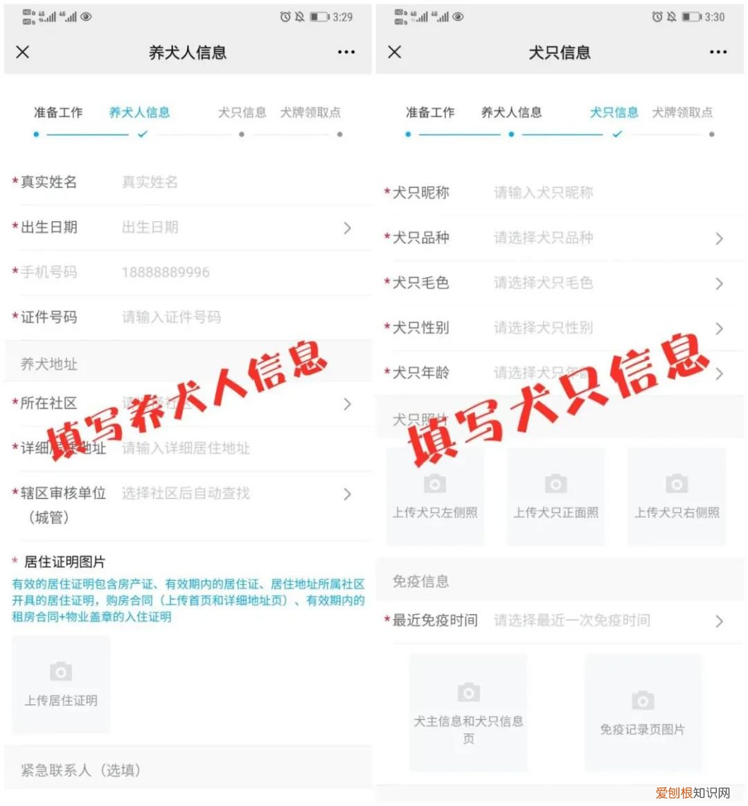 ?重要提醒!养犬免疫登记可网上提交信息!