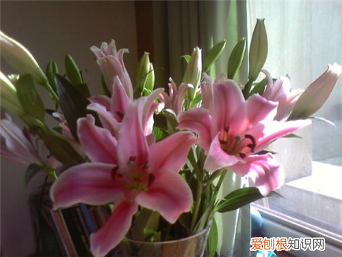 结婚纪念日感言心酸 结婚纪念日送什么花