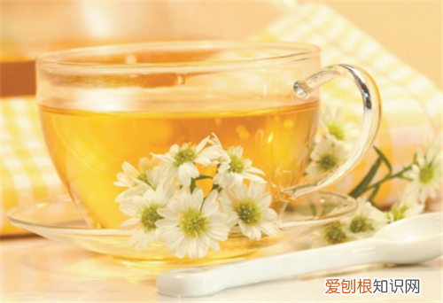 怀孕能喝菊花茶吗 怀孕初期应该注意什么