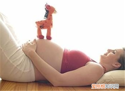 怀孕能喝菊花茶吗 怀孕初期应该注意什么