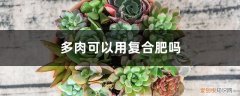 多肉可不可以用复合肥 多肉可以用复合肥吗