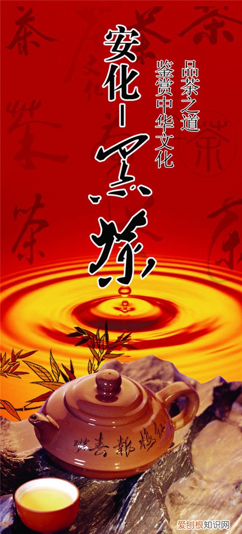 安化黑茶哪个牌子好 黑茶还有那些种类
