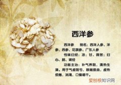西洋参的吃法有几种 西洋参有哪些功效与作用