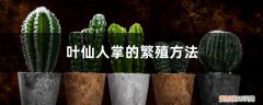 仙人掌用茎繁殖 叶仙人掌的繁殖方法