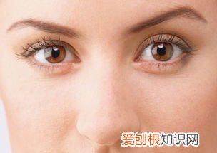 枸杞泡酒的功效 自制红枣枸杞泡酒的做法
