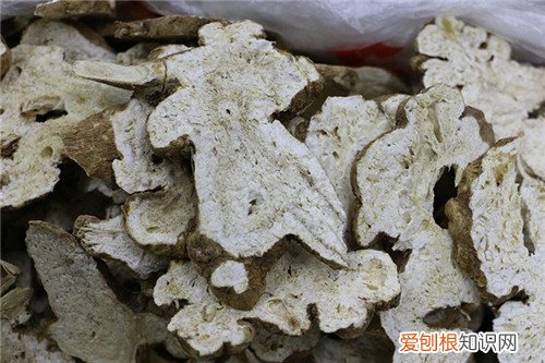 白术是什么 它的功效和禁忌有哪些