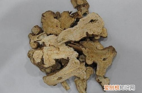 白术是什么 它的功效和禁忌有哪些