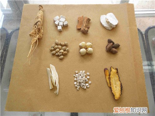 白术是什么 它的功效和禁忌有哪些