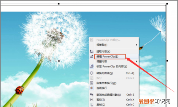 cdr怎么移动，cdr怎么把图片放到文本框里