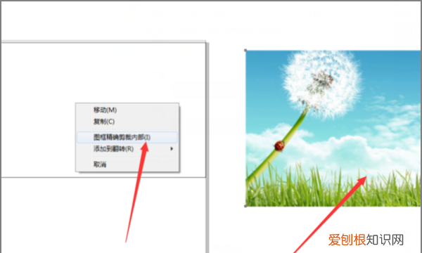 cdr怎么移动，cdr怎么把图片放到文本框里