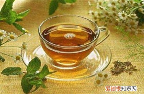 蒲公英的功效和作用蒲公英的食用禁忌有哪些