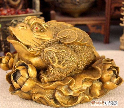 金蟾的摆放注意事项金蟾如何开光
