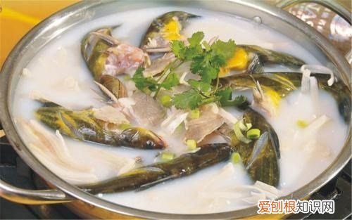 黄骨鱼什么鱼 黄骨鱼的种类有哪些