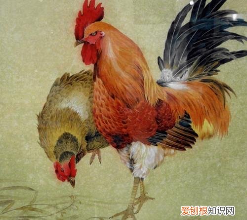 93年属鸡是什么命属鸡的2018年能结婚吗