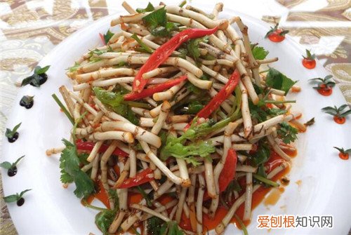 鱼腥草的功效与作用鱼腥草的禁忌以及副作用