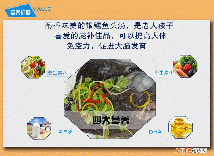 鳕鱼的营养价值有哪些 怎样辨别鳕鱼的真假