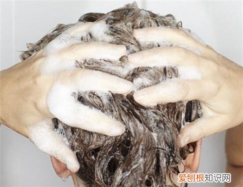 正确的洗头方法是什么正确洗头步骤详解