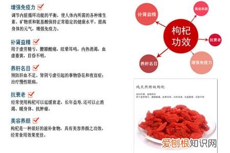 枸杞菊花茶的功效 服用枸杞菊花茶要注意些什么