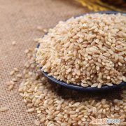 糙米是什么米糙米怎么吃减肥